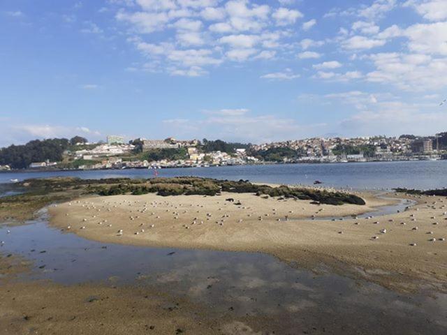 Apartament Leilighet Porto Eksteriør bilde